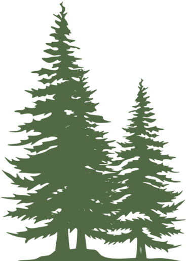 two trees